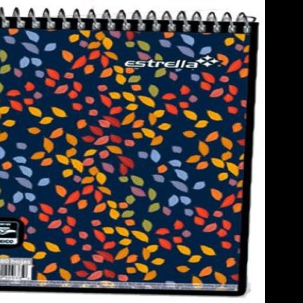 BLOCK TAQUIGRAFIA CORTO ESTRELLA 0033 CESPIRAL 80H.C.134